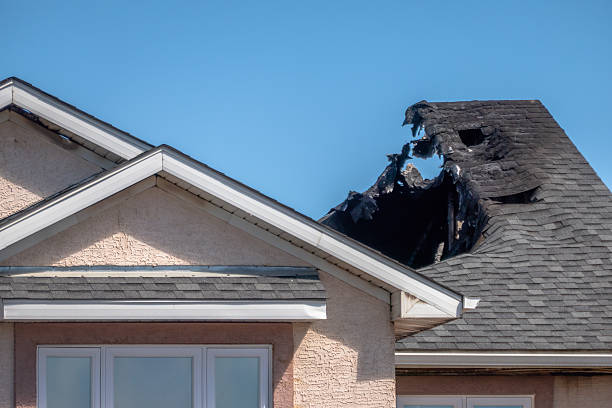 Top rated local Fire Damage Removal specialists in Chester, PA